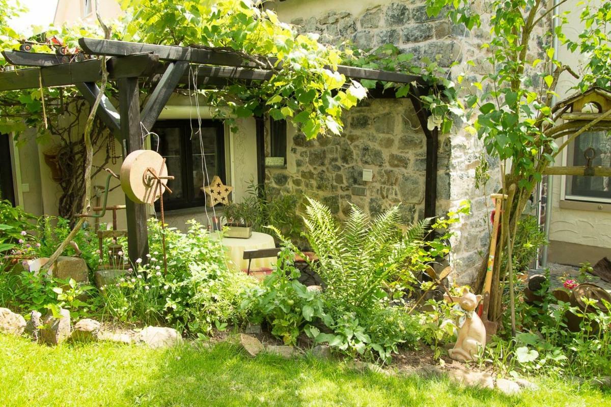Auszeit Flair Der Provence Apartment Hausen  Ngoại thất bức ảnh
